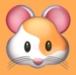 看片APPAPP应用
